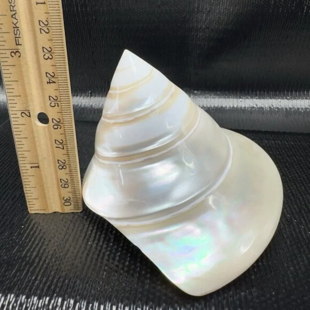 Natural Abalone Shell Iridescent Smooth Niloticus Trochus Pearl Sea Shell Decor‎